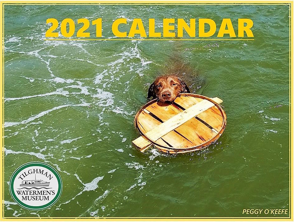 Put the lid on 2020